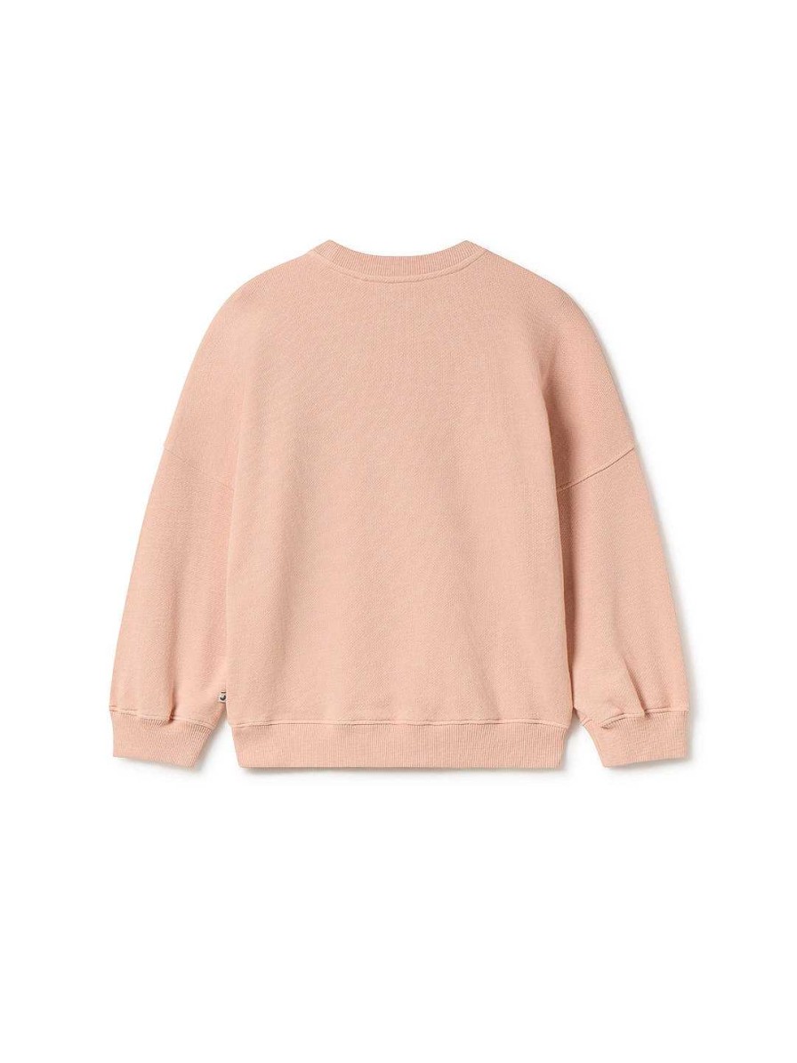 Sweatshirts | TWOTHIRDS Switha Zalm